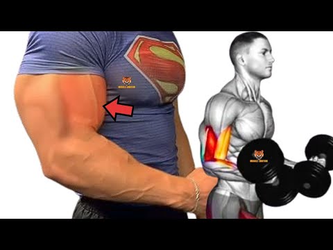 5 best biceps workout at gym / Les meilleurs exercises Musculation des biceps .