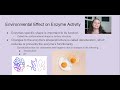 Enzyme Inhibition and Function Concepts