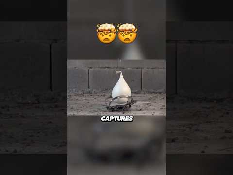 Non-Newtonian Fluid Meets a Bear Trap