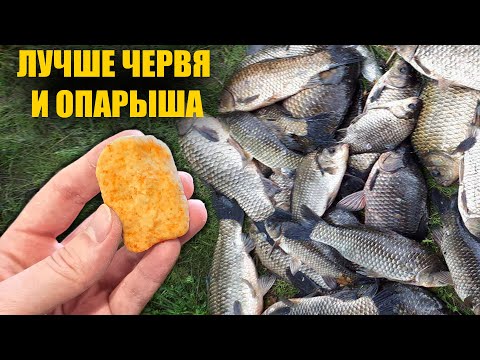 ОТ НЕЁ ДУРЕЕТ ВСЯ РЫБА! СУПЕР РЫБОЛОВНАЯ НАСАДКА ДЛЯ КАРАСЯ КАРПА ЛЕЩА И ПЛОТВЫ