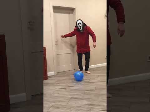 Someone brings a balloon to the dog