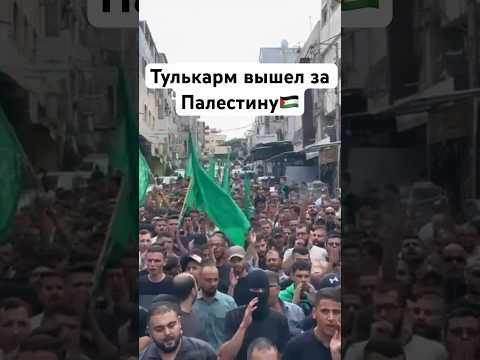 #palestine #tulkarm #israel #muslim #islam #палестина #израиль #мусульмане #ислам #иудеи #тулькарм
