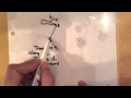 Understanding Congruence and Transformations