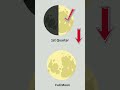 Understanding Moon Phases