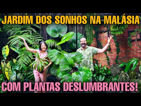 VIAJE pelo JARDIM dos SONHOS na Malásia: PLANTAS Incríveis - Grande episódio -@leafing.around