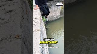 O NOBRE GESTO DE AMOR DESSE GAROTO MOSTROU QUE AINDA HÁ ESPERANÇAS NA HUMANIDADE