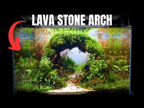 MAKING A CAVE/ARCH OUT OF LAVA ROCK! Epic Aquascape Tutorial