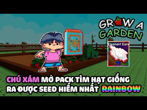 CHÚ XÁM MỞ PACK MỚI TÌM HẠT GIỐNG RAINBOW RA ĐƯỢC SEED HIẾM NHẤT TRONG GROW A GARDEN