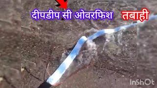 Or fish ka dikhana kaya tabahi ka sanket hai #video #viralvideo