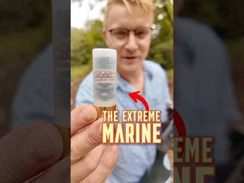 The Extreme Marine!