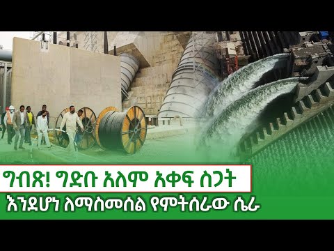 ግብጽ ! ግድቡ አለም አቀፍ ሰጋት እንደሆነ ለማስመሰል የምጸራው ሴራ ! kings of Abbay