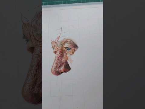 色鉛筆画楽しすぎ #wip #realistic #人物画