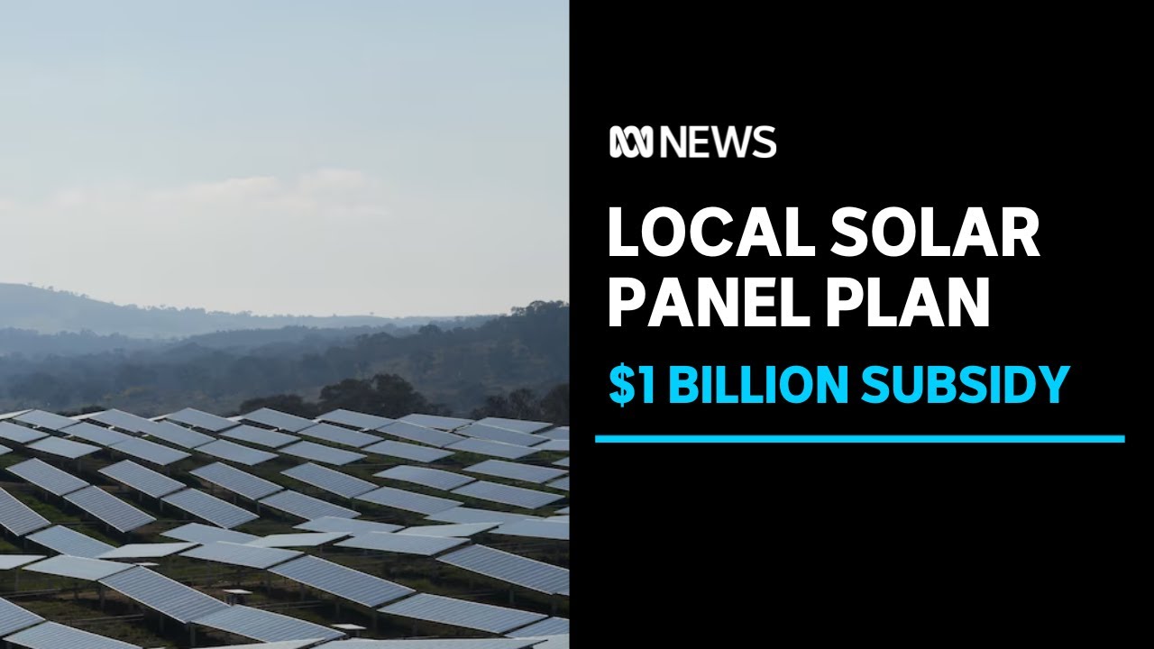 Can Australia make its own solar panels? | ABC News