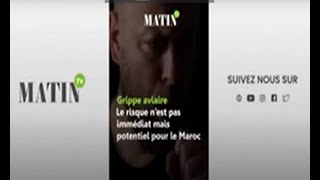 Grippe aviaire: Le risque n'est pas immédiat mais potentiel pour le Maroc