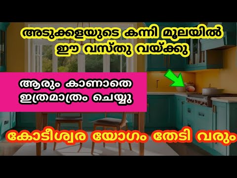 അടുക്കളയുടെ കന്നി മൂലയിൽ ഈ വസ്തു വയ്ക്കു കടം എന്ന വാക്ക് പിന്നെ ജീവതത്തിൽ ഉണ്ടാവില്ല.. astrology..