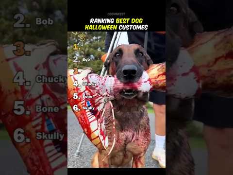 Ranking Best Dog Halloween Customes