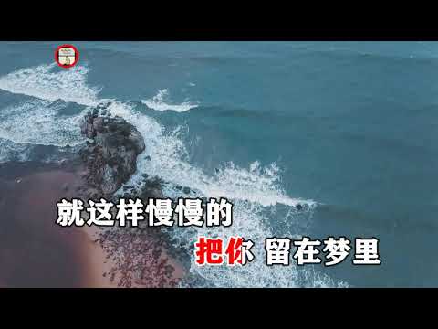 王亿涛   悲伤留给自己   KTV