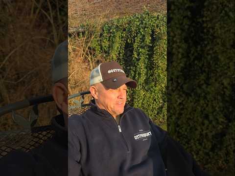 Wenn 75 Millionen Bargeld und Gold einfach mal spazieren fahren.... #oststruppi #humor