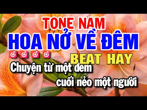 Hoa Nở Về Đêm Karaoke Tone Nam (Cm) Nhạc Sống Mới 2025 | Huỳnh Lê
