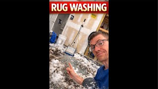 Rug washing…live!
