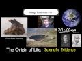 Evolution and Life's Origins