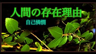 自己憐憫とは潜在意識