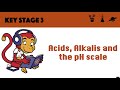 Understanding Acids and Alkalis