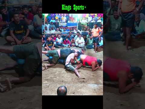 Tiger Catch!! #shorts #ytshorts #hadudukhela