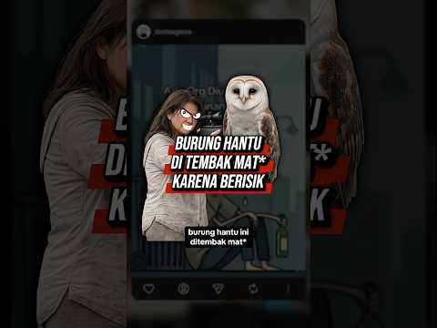 Kasian Banget Burung Ini #shorts