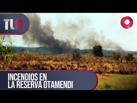 #TelenueveCentral | Incendios en la reserva Otamendi