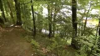Bühlertal Herrenweg am 14.05.2014