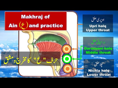 How to pronounce letter Ain ( ع ) in Arabic | Makhraj of Ayn letter | Arabic Alphabet Pronunciation