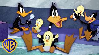 Le cours Bébé et Maman | Looney Tunes en Français | | WB Kids