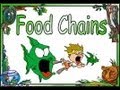 Exploring Food Chains and Energy Flow in Ecosystems