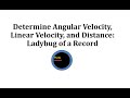 Ladybug Motion and Velocity Concepts