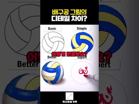 배구공 그림의 디테일 차이?
