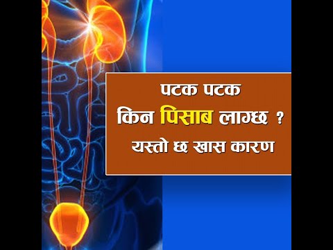 पटक–पटक पिसाब लाग्नुको खास कारण यस्तो छ | Frequent Urination Home Remedies | Nepali Health Tips