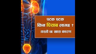 पटक–पटक पिसाब लाग्नुको खास कारण यस्तो छ | Frequent Urination Home Remedies | Nepali Health Tips