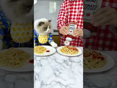 Kitty loves to eat noodles with Ketchup #shortvideo
