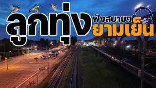 ลูกทุ่งฟังสบายๆยามเย็น
