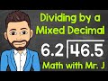 Understanding Decimal Division Concepts