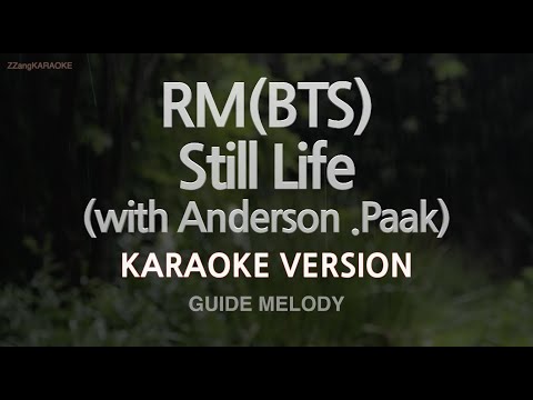 [짱가라오케/노래방] RM(BTS)-Still Life (with Anderson .Paak) (Melody) [ZZang KARAOKE]