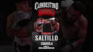 CLANDESTINO YA ESTA EN SALTILLO #clandestinofc #peleadoresmexicanos #bareknuckle #combatemexico