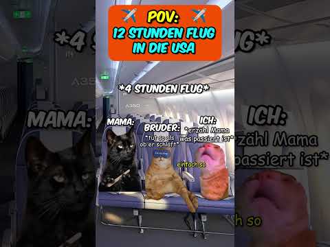 PoV: 12 Stunden Flug mit der Familie in die USA #katzenvideos  #reisen  #familie  #amerika  #lustig