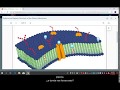 Remote Learning Program Essentials