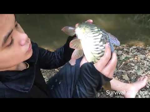 Meet a poor boy fishing for survival food, camping by the stream, eating grilled fish with him