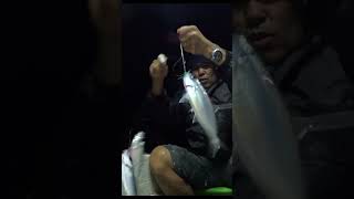 Harvest ang matambaka #fishing #matambaka  #shorts