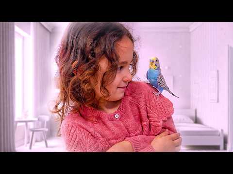 Can Your Child Handle the Responsibility of Caring for a Budgie?