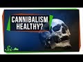 Understanding Cannibalism: Biological and Social Perspectives