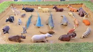 Sea Creatures Need Help! Farm and Safari Animals Stuck in the Mud Ground